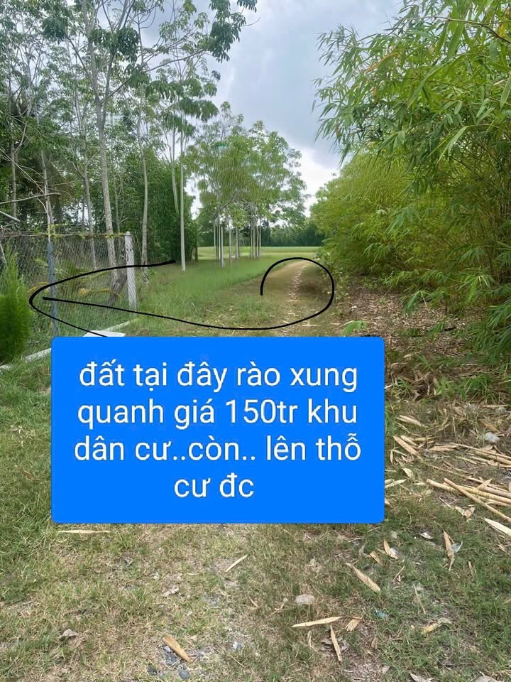 Đất nền Ninh Điền Châu Thành Tây Ninh 145m² giá chỉ 150 triệu - Cơ hội đầu tư tuyệt vời!