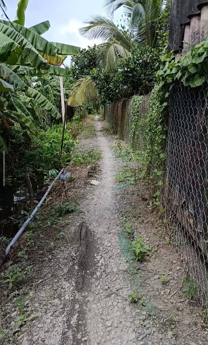 Đất vườn Tiền Giang 2430m² giá 420 triệu - Cơ hội đầu tư tuyệt vời!