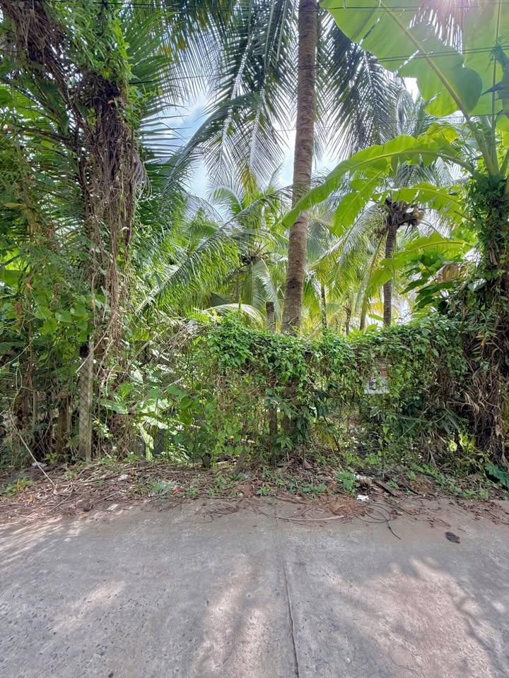 Đất mặt tiền Kênh 19/05 Trung An, Mỹ Tho, 990m² - Giá đầu tư hấp dẫn!