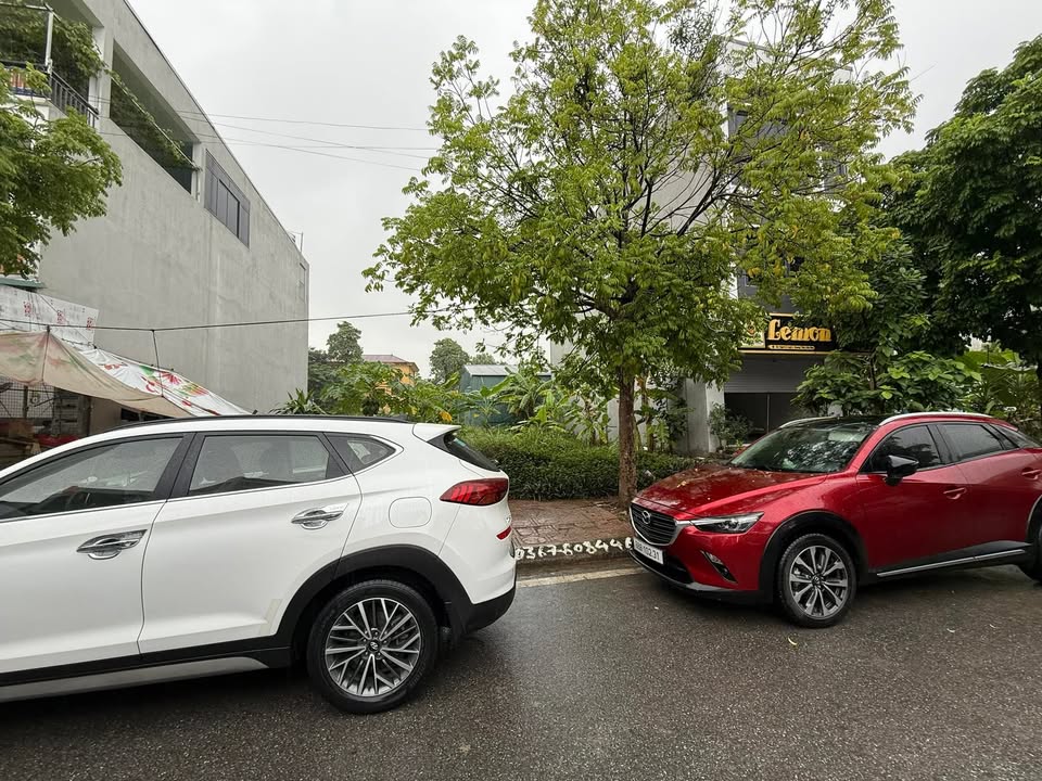 Đất nền Liên Bảo, Vĩnh Yên 200m² giá 1X tỷ - Cơ hội đầu tư hấp dẫn!