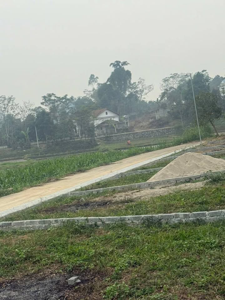 Đất thổ cư 136m² xã Xuân Hòa, huyện Lập Thạch - Giá chỉ 520 triệu!