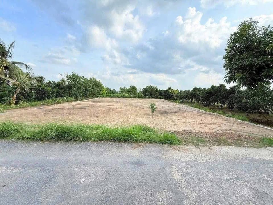 Đất nền liền kề Phường Đông Thành, Vĩnh Long 175m² chỉ 500 triệu - Cơ hội đầu tư hấp dẫn!