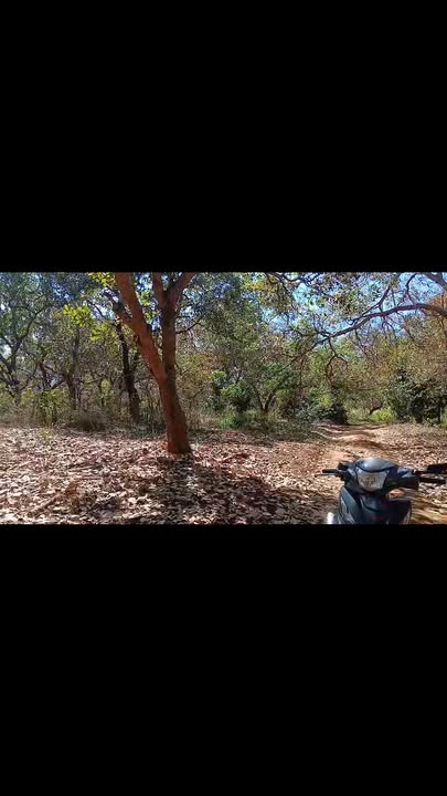 Đất nền Thọ Sơn 5ha8 giá 7.8 tỷ - Tiềm năng đầu tư lớn!