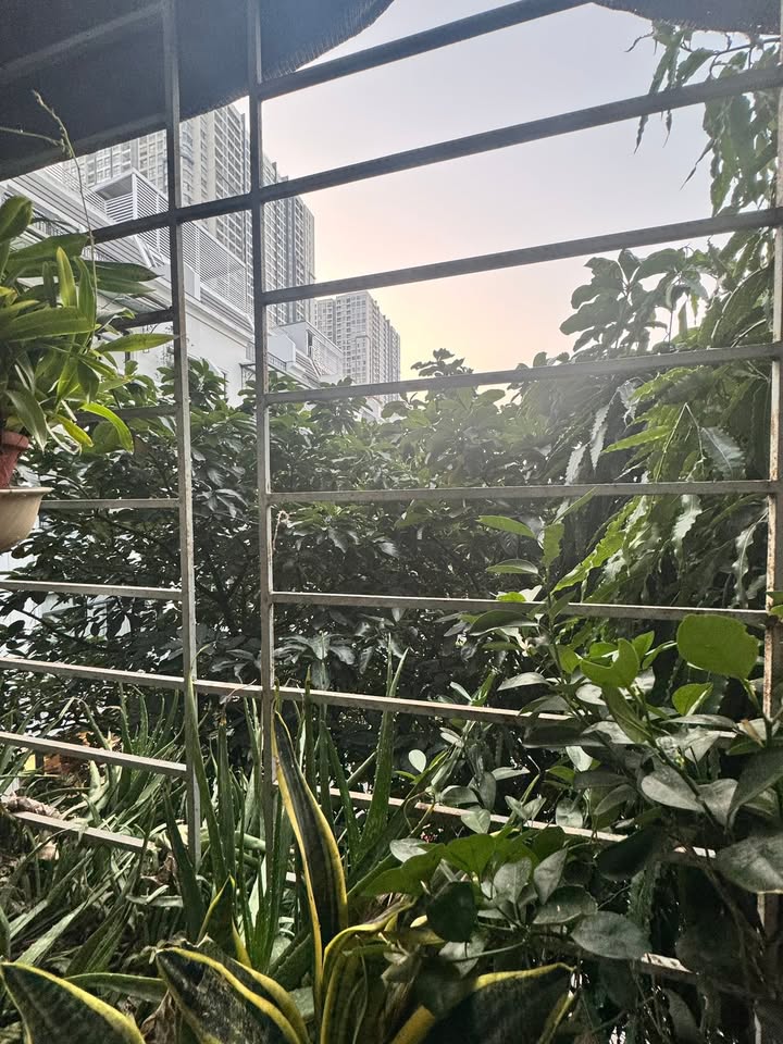 Căn hộ CCMN Ngõ 36 Hàm Nghi 50m² giá 6 triệu - Nội thất cơ bản, tiện nghi sống!