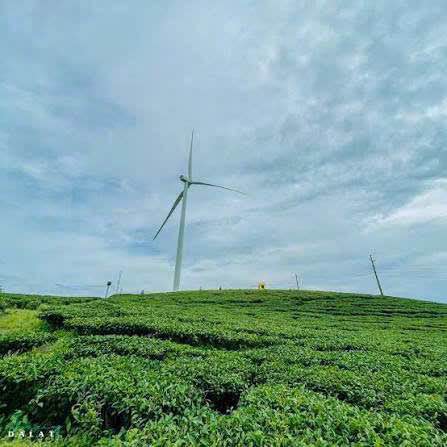 Đất ở Xuân Trường Đà Lạt 306m² giá 3.5 tỷ - Gần chợ, view đẹp