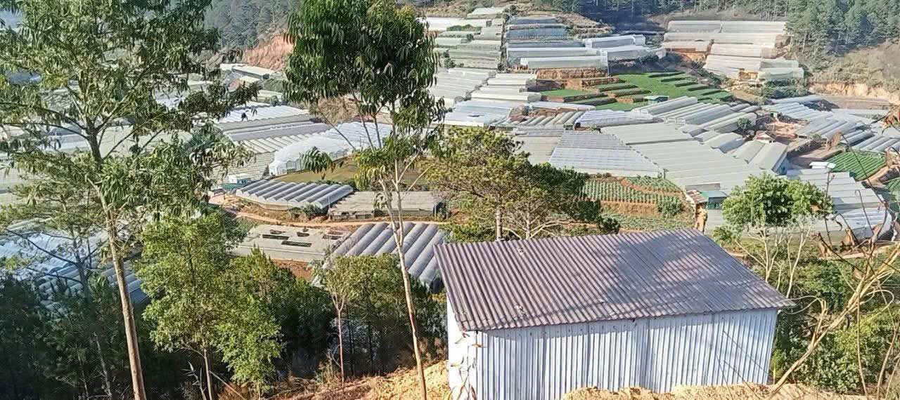 Đất nông nghiệp 1.000m² Xuân Thọ, Đà Lạt giá 2.1 tỷ - Cơ hội đầu tư hấp dẫn!