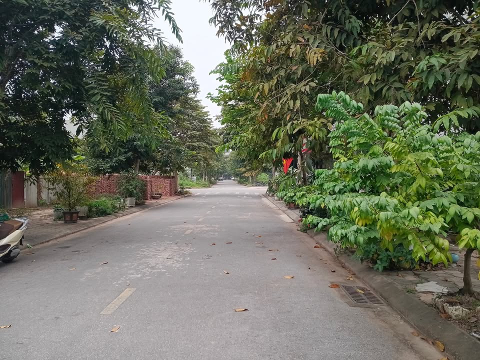 Đất nền KĐT Rùa Vàng Lạng Giang 83m² giá 2.3 tỷ - Phù hợp để ở và kinh doanh!