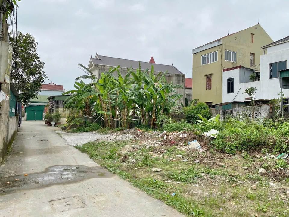 Đất nền Nghi Kim 79.1m² giá 2.2 tỷ - Đường ô tô vào thoải mái!