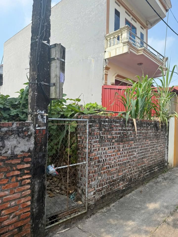 Đất thổ cư Chí Minh, Khoái Châu 102,4m² giá 1 tỷ - Cơ hội đầu tư hấp dẫn!