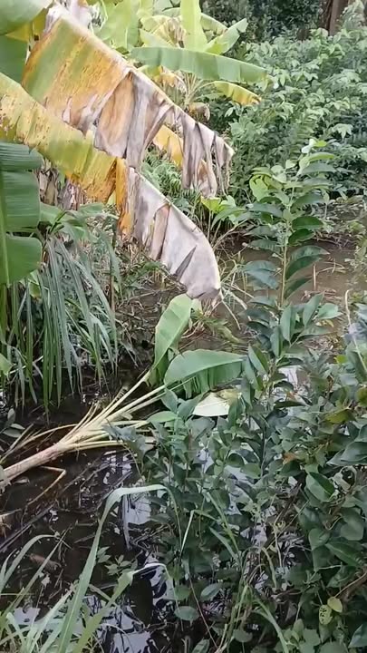 Đất nền An Hòa Thủ Thừa 1000m² giá 900 triệu - Đầu tư sinh lời ngay!