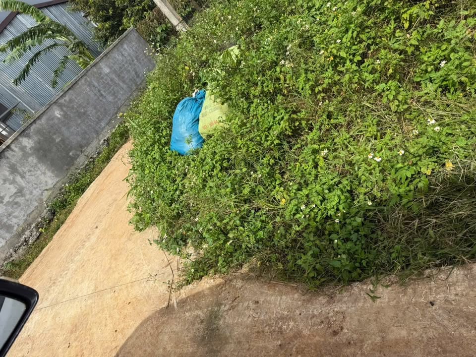 Đất nền Cư Bao, Buôn Hồ 187m² giá 700 triệu - Sổ hồng chính chủ!