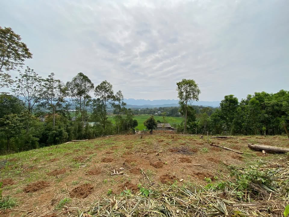 Đất thổ cư 2100m² tại Thượng Cốc, Lạc Sơn, Hoà Bình - Sổ đỏ chính chủ, giá chỉ 1 tỷ!