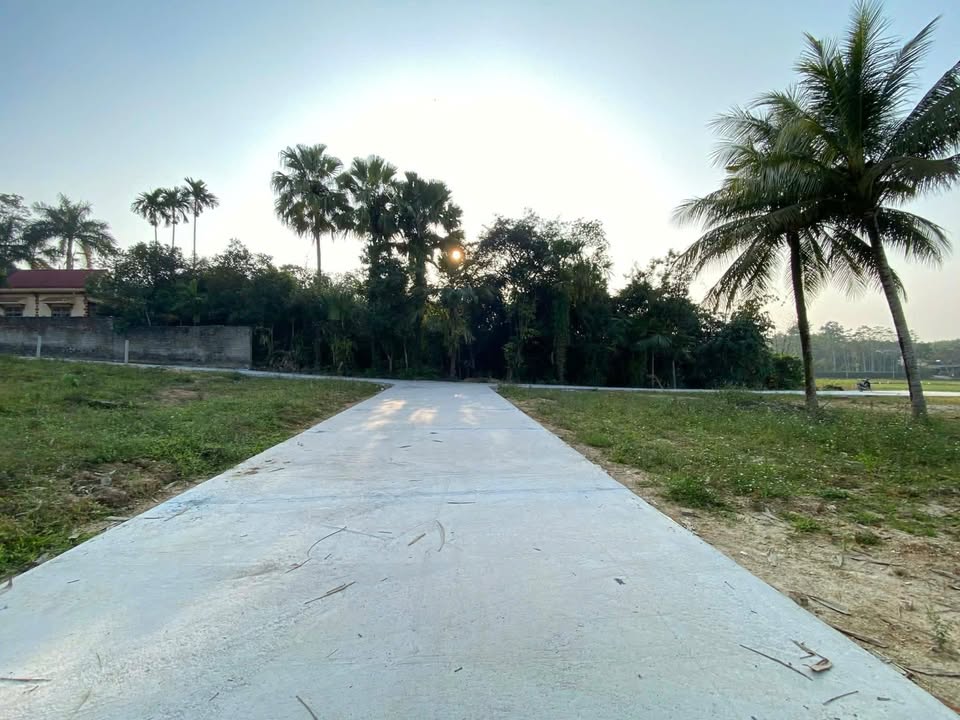 Đất nền Yên Sơn Tuyên Quang 105m² giá 8xx triệu - Lô góc thuận tiện kinh doanh