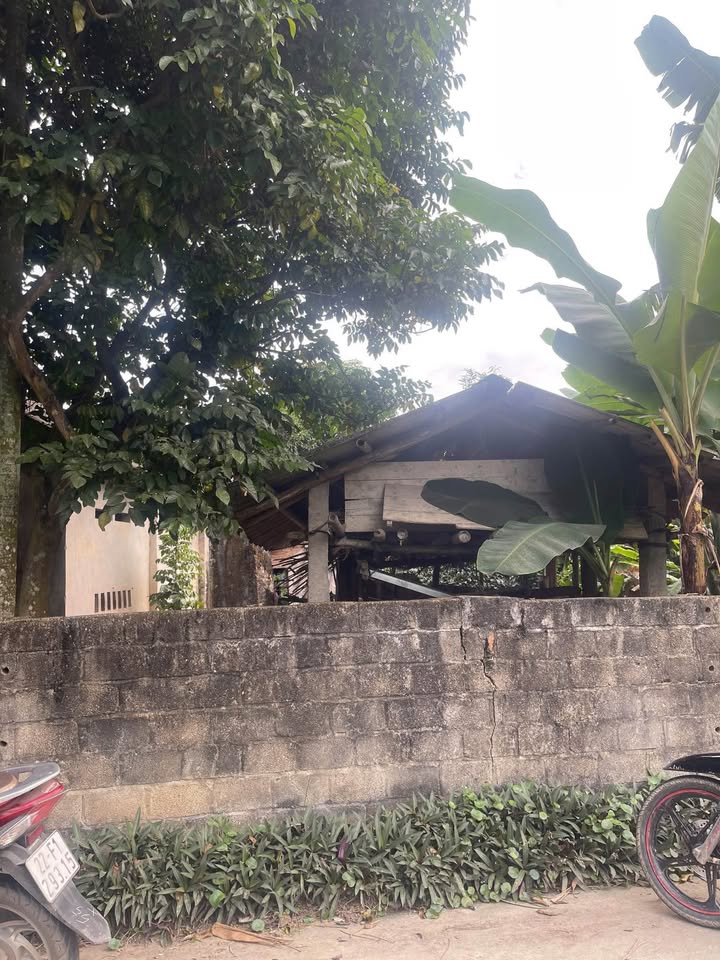 Đất mặt đường kinh doanh phường Minh Xuân Tuyên Quang 128m² giá 2 tỷ - Đầu tư sinh lời cao!