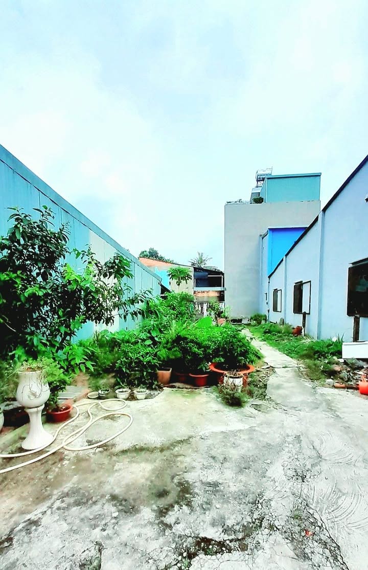 Đất nền Linh Xuân Thủ Đức 180m² giá chỉ 6.9 tỷ - Cơ hội đầu tư tuyệt vời!