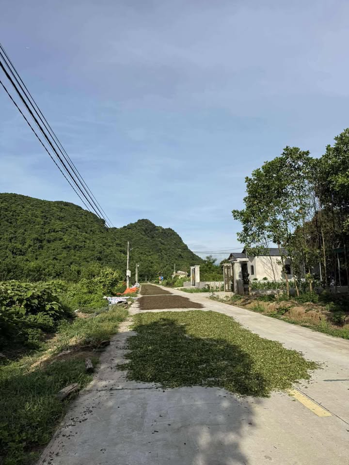 Đất thổ cư 360m² tại thôn Tiền Phong, Nho Quan - Giá thỏa thuận hấp dẫn!