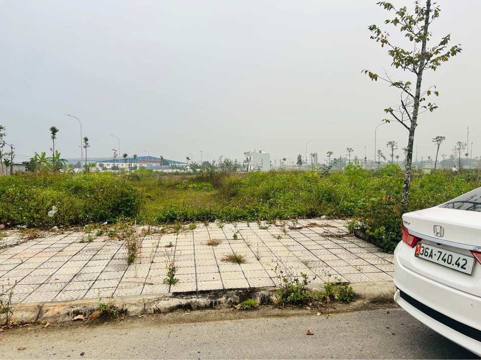 Đất nền Xuân Lập Thọ Xuân 95m² giá 800 triệu - Cơ hội đầu tư tuyệt vời!