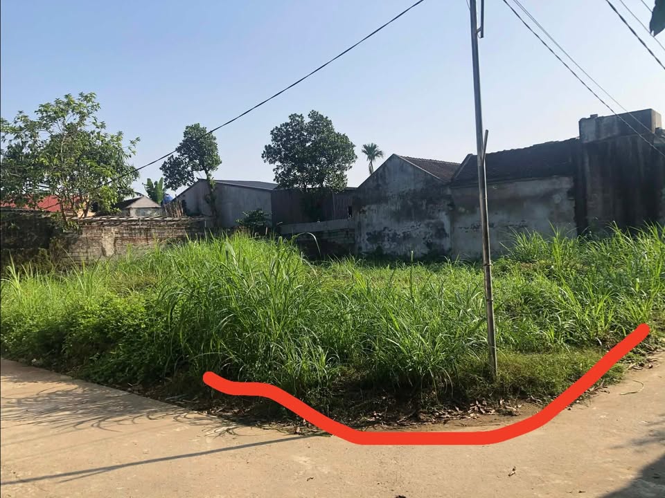 Đất nền Định Tân, Yên Định 116m² giá 400 triệu - Sổ hồng chính chủ!