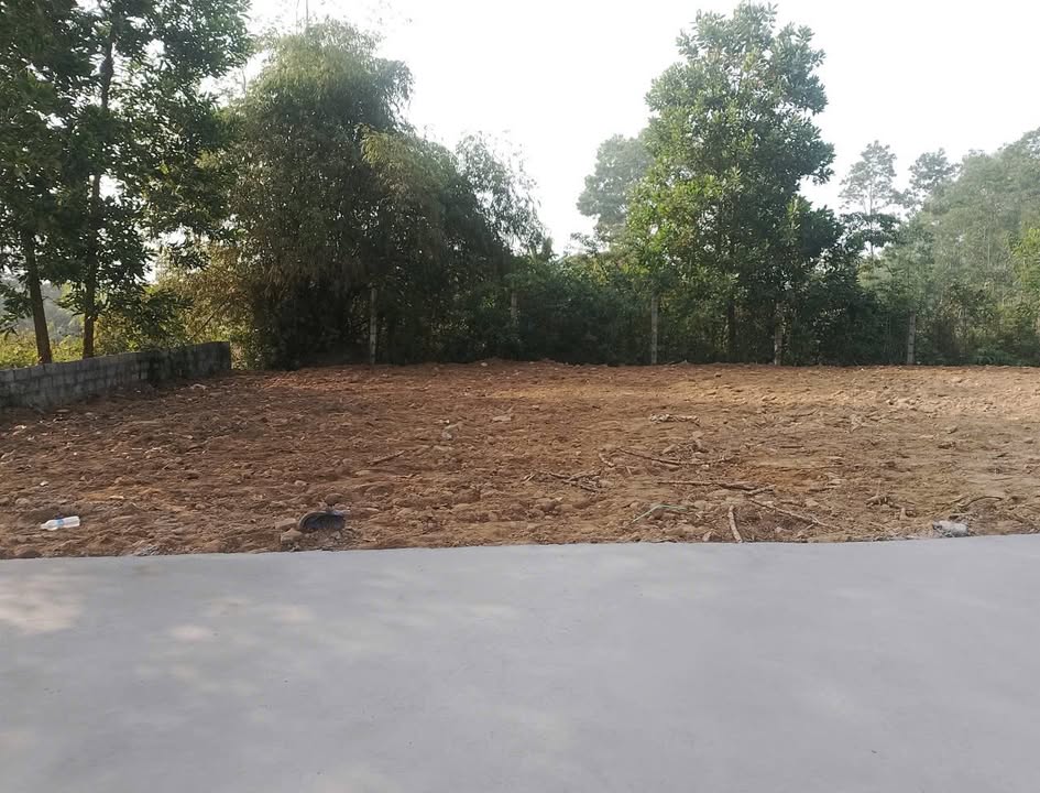 Đất thổ cư 80m² tại xã Thịnh Đức, giá chỉ 660 triệu - Cơ hội đầu tư hiếm có!