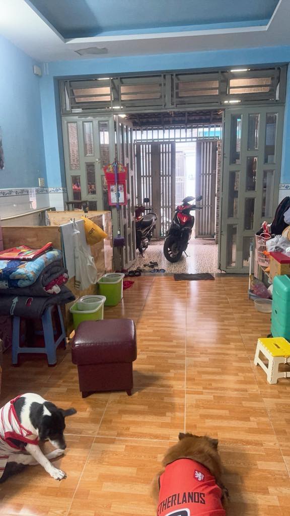 Nhà riêng Gò Vấp 60m² giá 4 tỷ - Nở hậu, công chứng ngay!