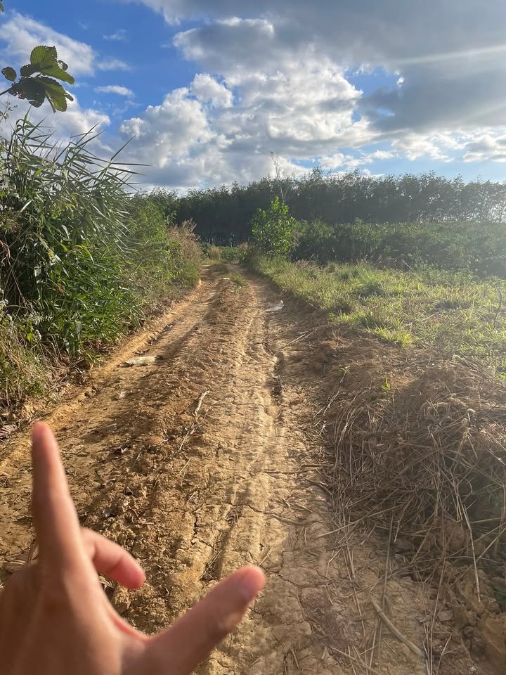 Đất trống xã Đắk Hà 23000m² giá 300 triệu - Đầu tư sinh lời ngay!