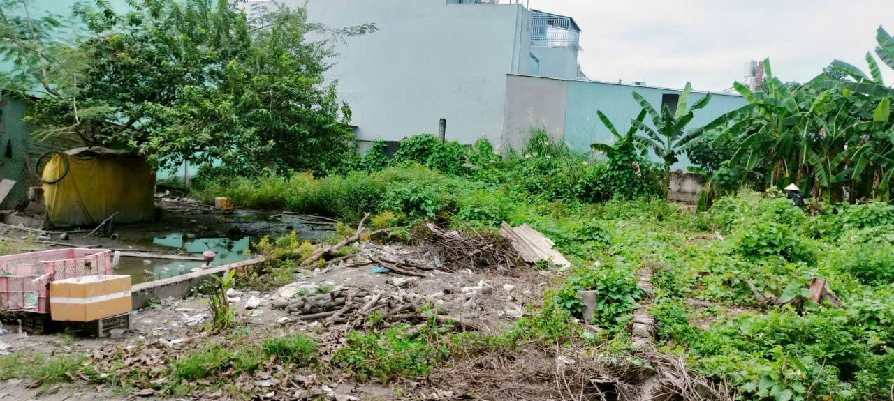 Đất thổ cư Đức Hòa Long An 95m² giá 1.15 tỷ - Sổ đỏ chính chủ, dân cư đông đúc!