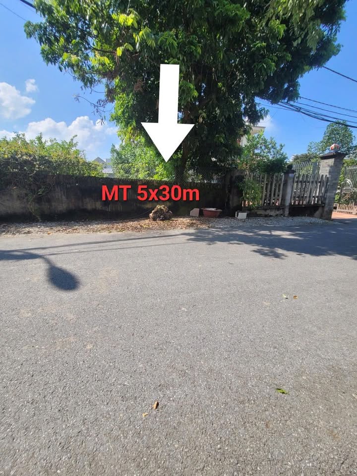 Đất nền Tổ dân phố Tích Cực, Tam Đảo 150m² giá 1.95 tỷ - Cơ hội đầu tư sinh lời!