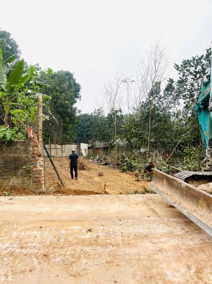 Đất nền Thanh Vân, Tam Dương 112m² giá 900 triệu - Đường rộng ô tô tránh nhau!