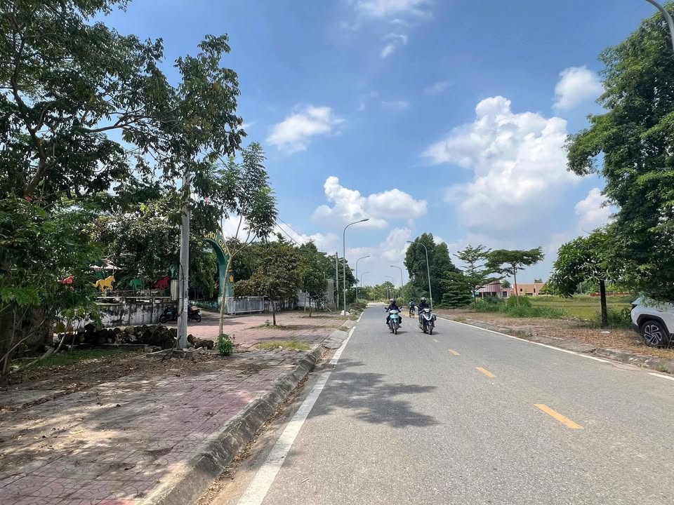 Bán đất TDP Đồi Cao, Hợp Châu, Tam Đảo 149.5m² - Đầu tư sinh lời tốt!