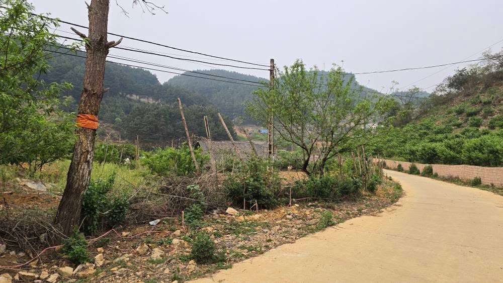 Đất nền đẹp tại Tân Yên - Mộc Châu 1500m² giá 1.1 tỷ - Cơ hội đầu tư tuyệt vời!