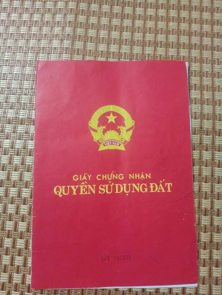 Nhà 2 tầng đường Lăng Cẩm, Việt Trì 126m² giá 50 tỷ - Vị trí đắc địa trung tâm