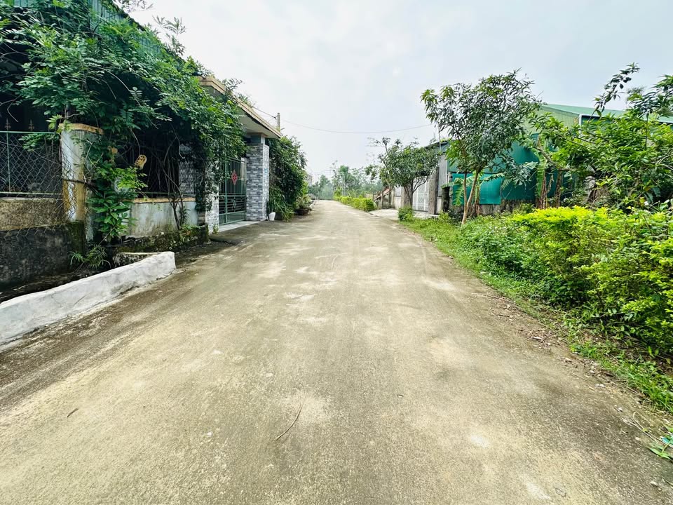 Đất nền thôn Ngụ Quế, xã Cẩm Vịnh, huyện Cẩm Xuyên, 239.8m² giá 1.3 tỷ - Đường rộng thoáng