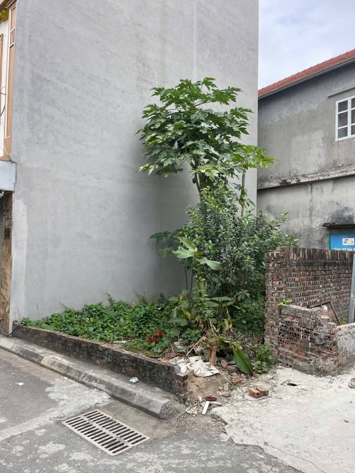 Đất Lô Góc Cự Khối Long Biên 60m² - Sổ Đỏ Chính Chủ, Mặt Tiền 4.2m!