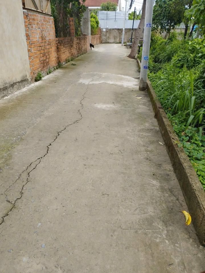 Đất nền Bình Nhâm, Thuận An 130m² giá 2.35 tỷ - Đường bê tông, Sổ hồng chính chủ!