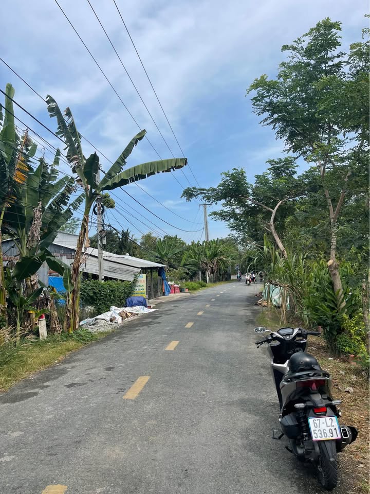 Đất lúa 20 công tại Phú Thuận, Thoại Sơn - Giá chỉ từ 200 triệu/công, thương lượng!