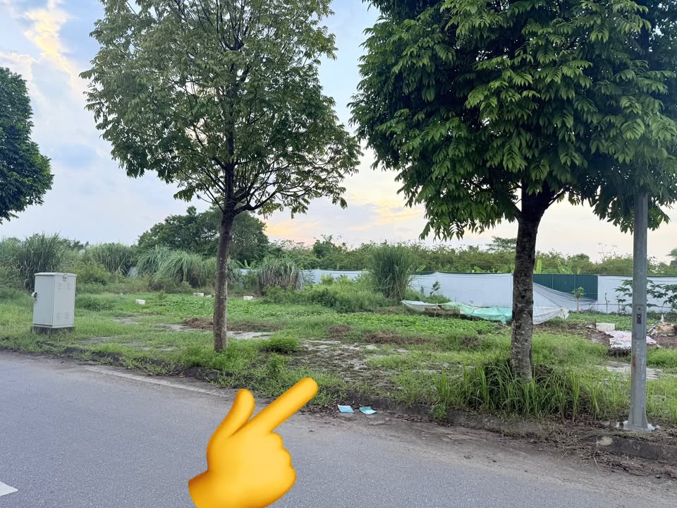 Đất nền KĐT CEO2 Phủ Lý 110m² giá 6.6 tỷ - Mặt tiền 5m hướng Đông