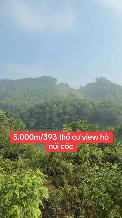 Đất thổ cư 5.000m² tại Phúc Tân, Phổ Yên - Giá chỉ 3 tỷ - Cơ hội đầu tư không thể bỏ qua!