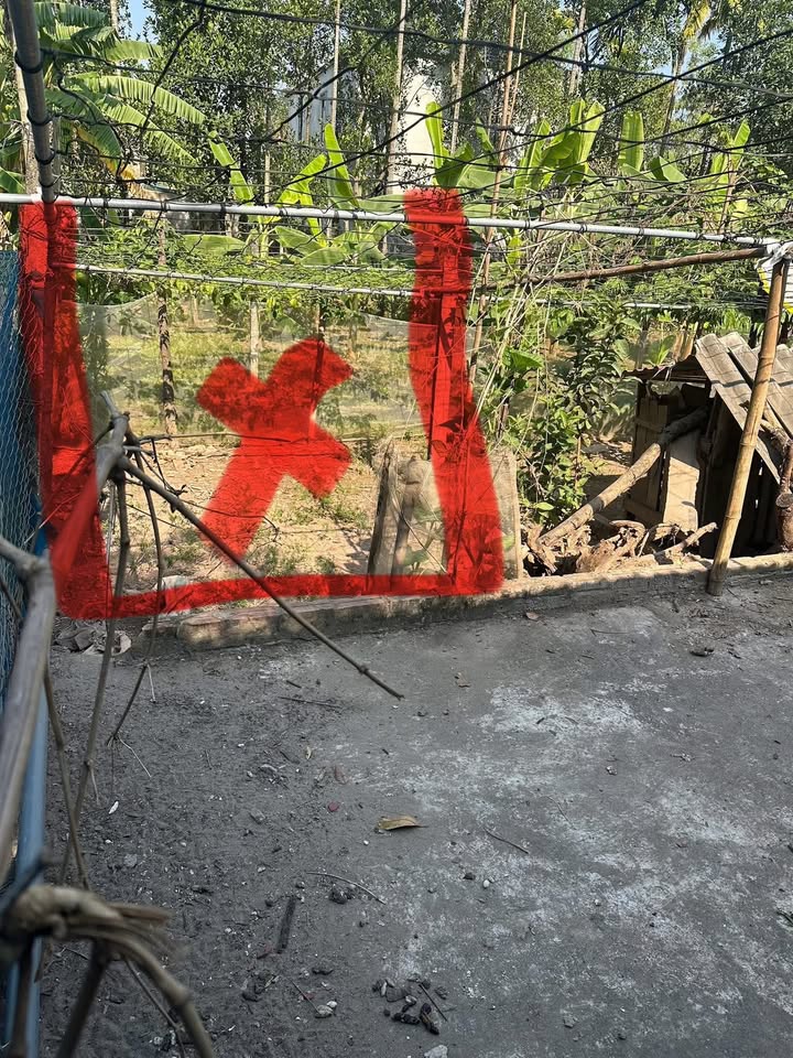 Đất nền Xuân Đình, Phúc Thọ 68m² giá thỏa thuận - Đường ô tô vào tận đất!