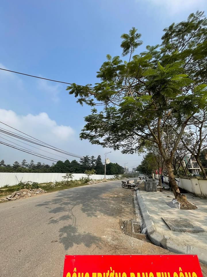 Đất thổ cư Thanh Minh 100m² giá 1.5 tỷ - Vị trí đẹp, giao thông thuận lợi!