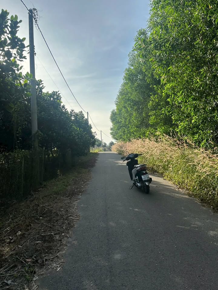 Đất nền Suối Rao Châu Đức 1440m² giá 2.6 tỷ - Sổ hồng riêng, 2 mặt tiền đường nhựa!