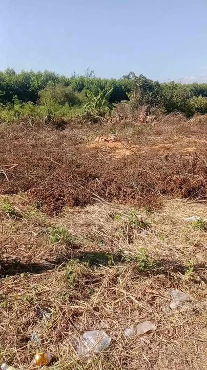 Đất thổ cư 14.000m² xã Xuân Thọ, Đồng Nai giá 16 tỷ - Sổ hồng chính chủ!