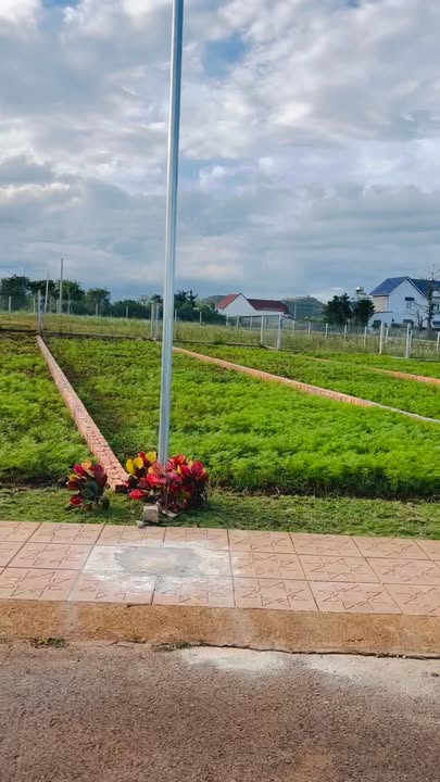 Đất thổ cư Phú Hội, Đức Trọng 154m² giá 1.27 tỷ - Cơ hội vàng cho đầu tư!