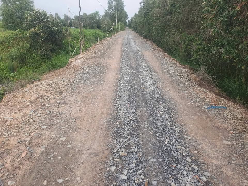 Đất vườn Tiền Giang 180.000m² giá 8.1 tỷ - Đang cho trái, đầu tư sinh lời!