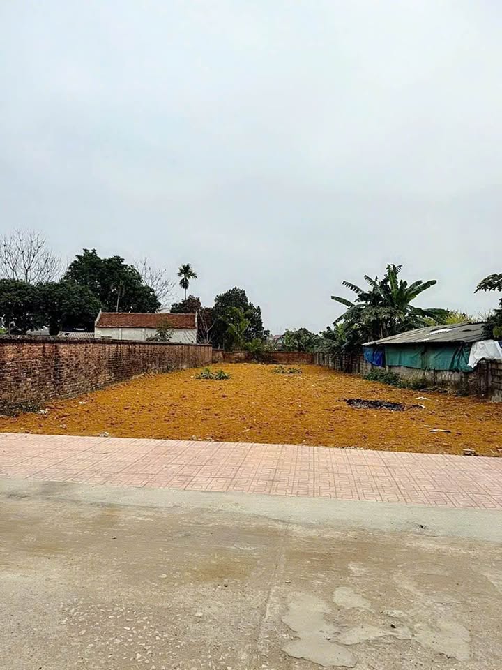 Đất nền Phú Cát, Quốc Oai 500m² giá đầu tư - Cơ hội vàng cho nhà đầu tư!