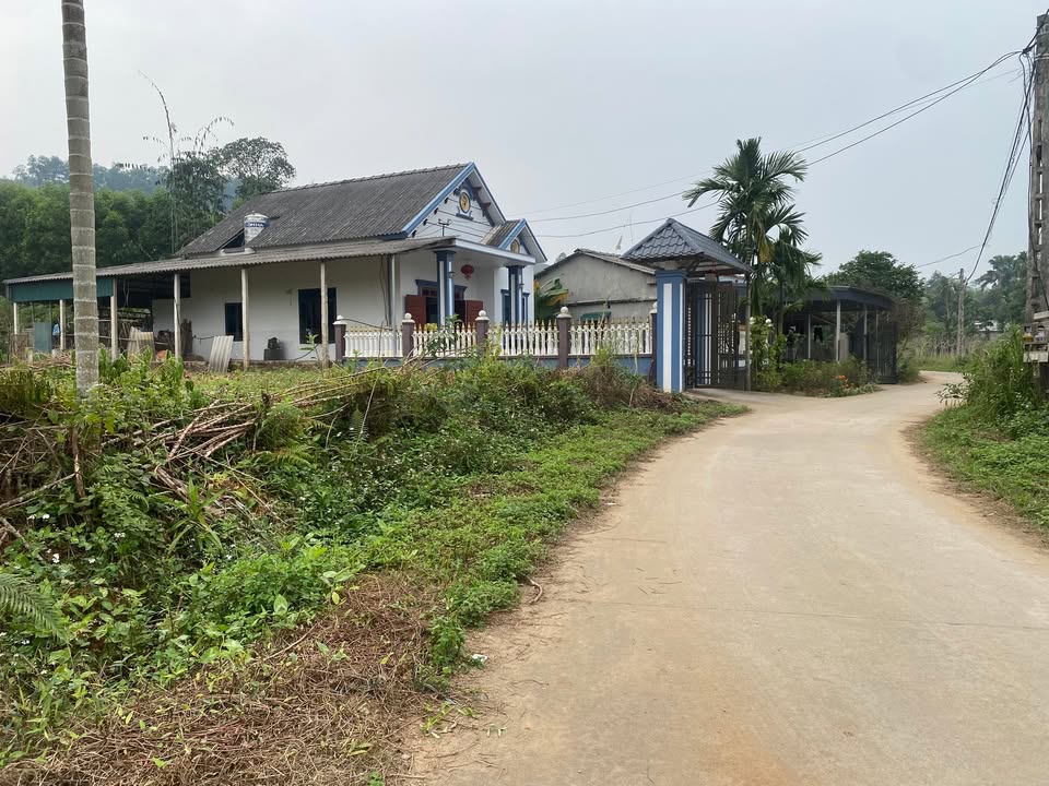 Đất nền Tứ Hiệp Hạ Hòa 800m² - Sổ đỏ chính chủ, giá thỏa thuận!