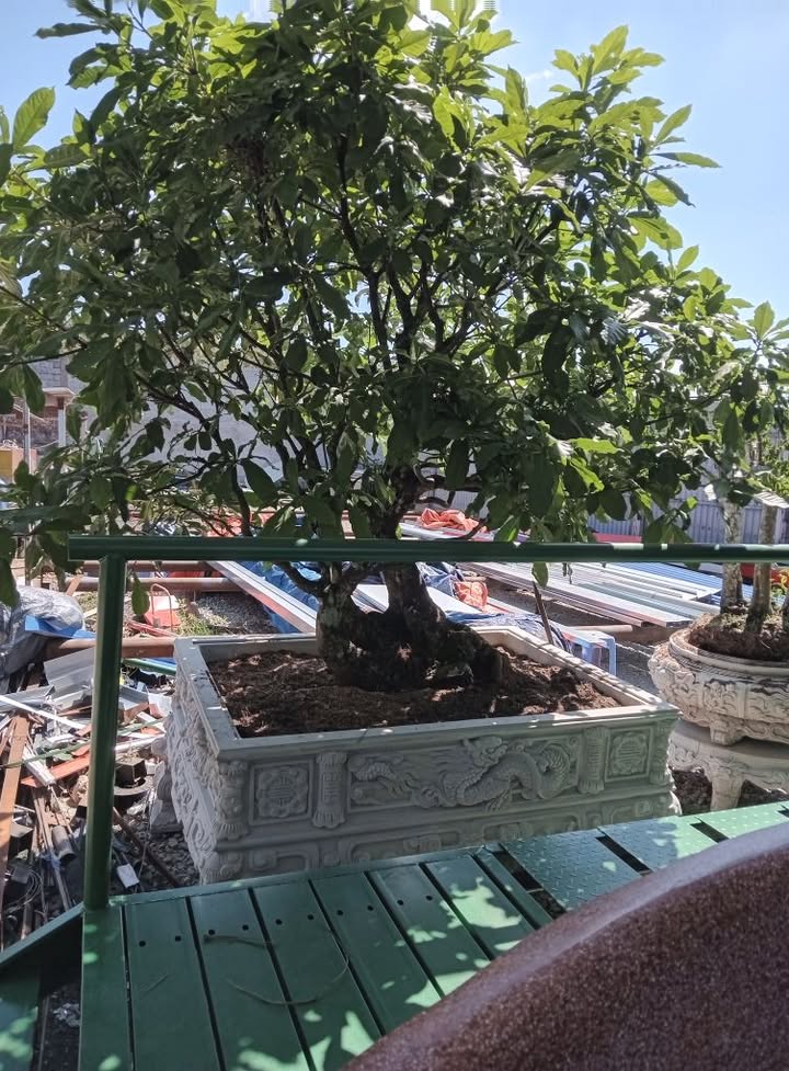 Đất nền Lộc Hưng, Lộc Ninh 22,000m² giá 2.2 tỷ - Cơ hội đầu tư tuyệt vời!