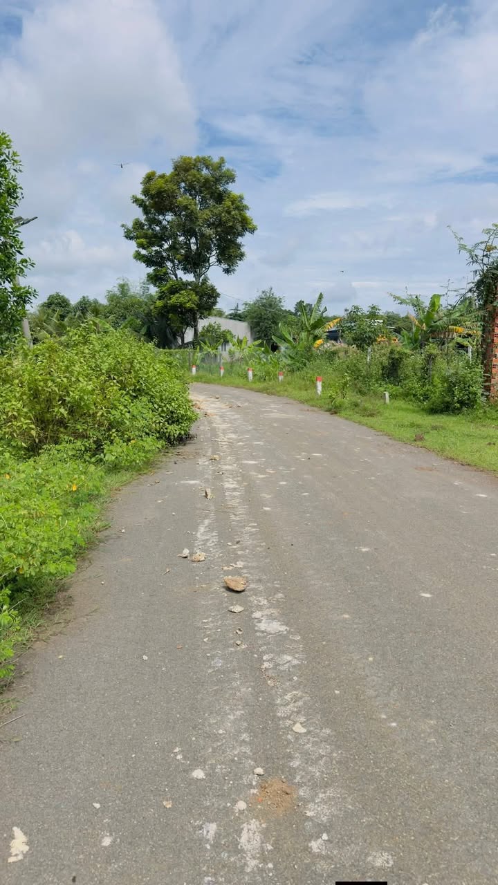 Đất nền Suối Nghệ Châu Đức 320m² giá 1.1 tỷ - Mặt tiền đường nhựa thuận lợi!