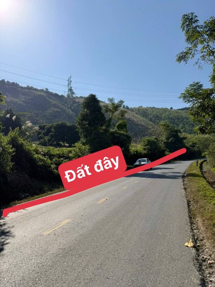 Đất rừng sản xuất 1.2ha tại Quốc lộ 32, Tân Sơn - Đầu tư tiềm năng