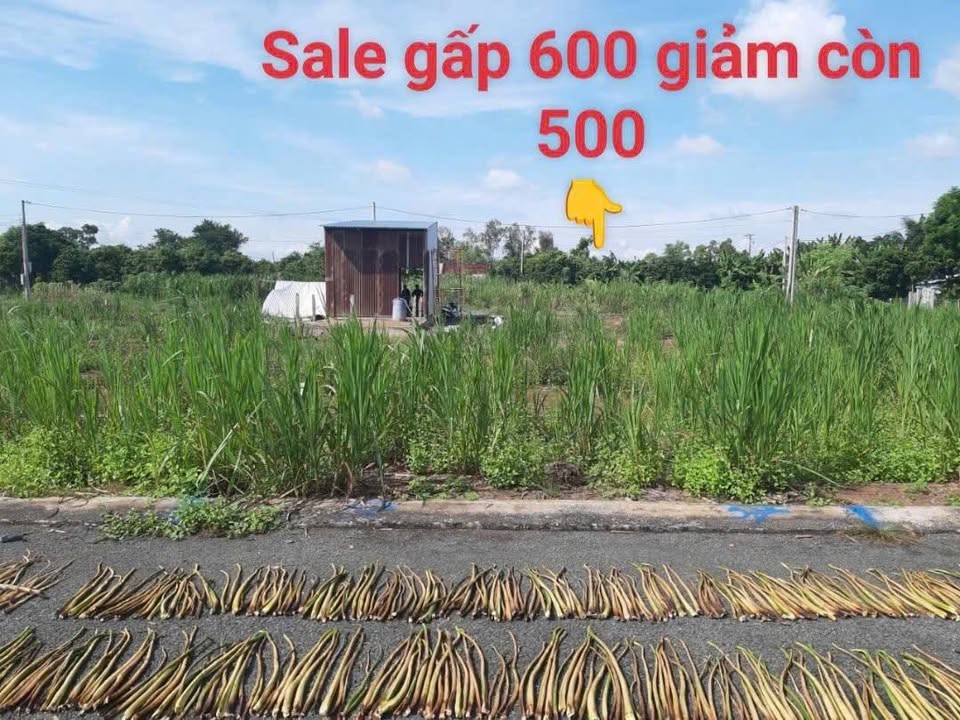 Đất nền KDC Thống Linh, xã Ba Sao, 72m² chỉ 499 triệu - Cơ hội vàng cho nhà đầu tư!