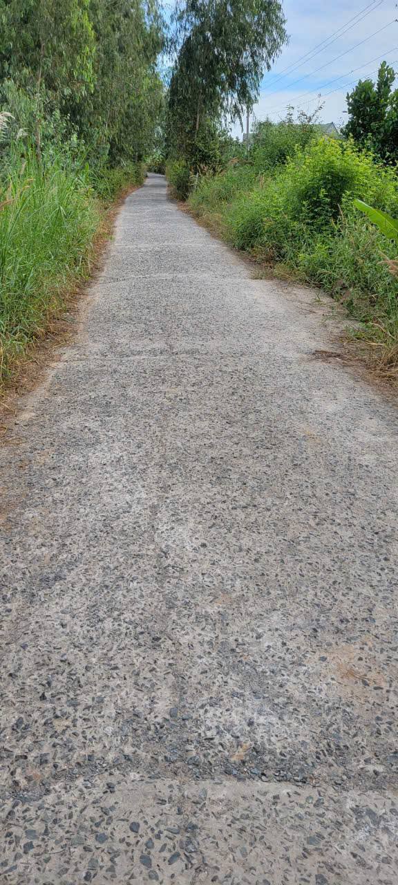 Đất vườn xoài Cát Hòa Lộc 3.906m² giá 625 triệu - Đầu tư sinh lời cao!